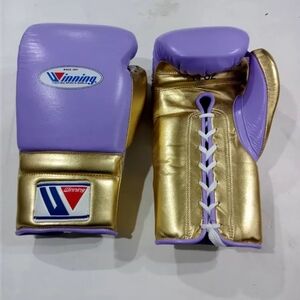 Premium Boxing Gloves for Training, Sparring & Fighting – Professional Punching